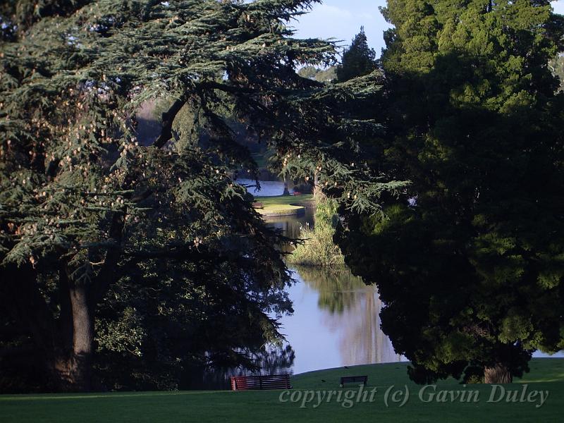 Melbourne Botanic Gardens IMGP2150.JPG